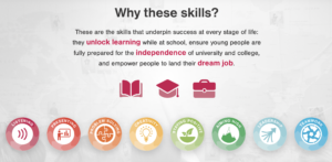 Skill-builder-skills-in-entrepreneurship-course-rio-de-janeiro-edumais